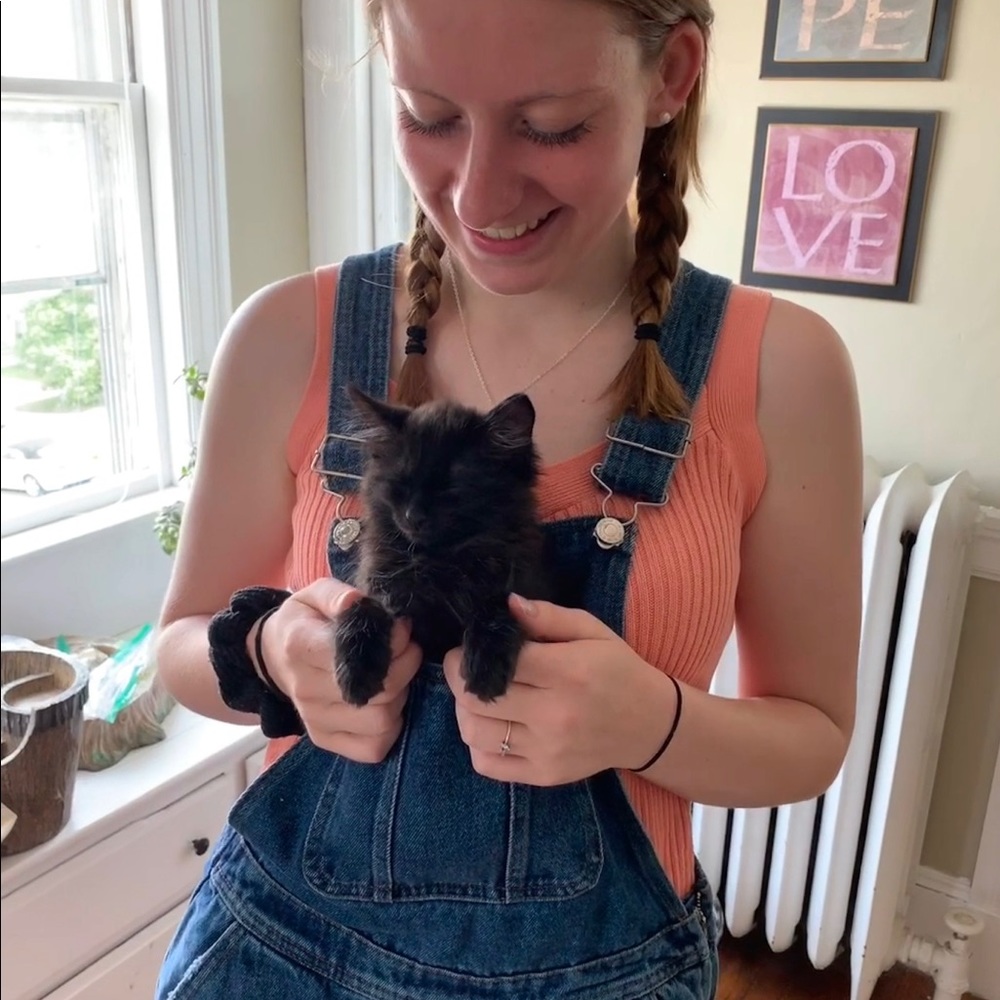 Meet your Posher, Jennette